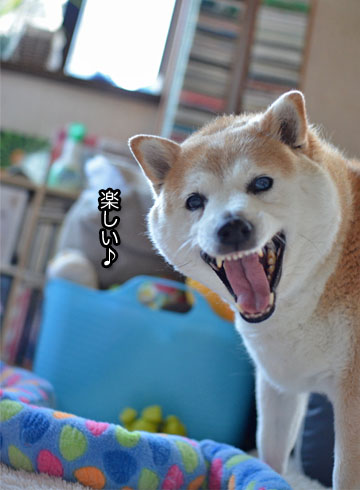 27日ブログ7.jpg