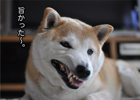 9日ブログ6.jpg