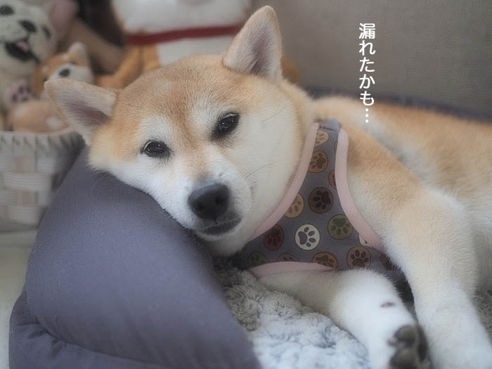 8日ブログ３