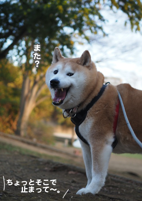 7日夕ブログ２