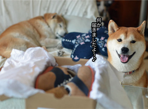 27日ブログ2.jpg