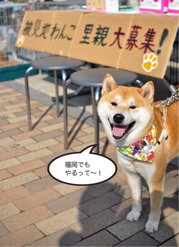 21日ブログ8.jpg