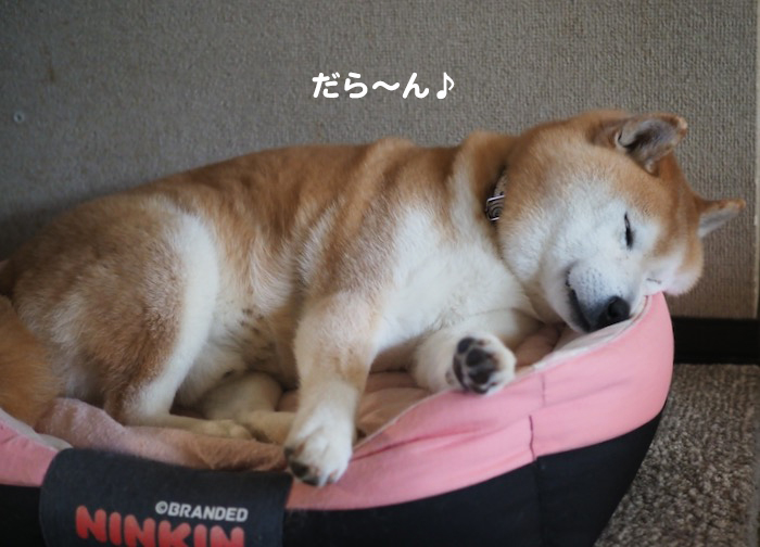 18日夕ブログ３