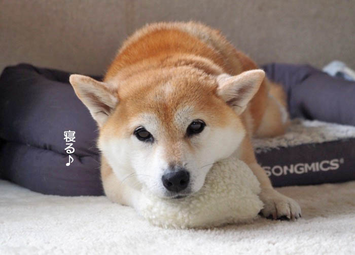 8日夜ブログ３