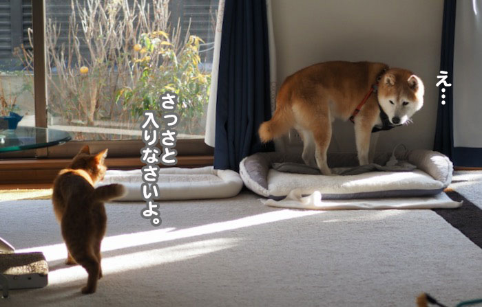 26日夕ブログ８