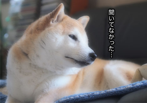 17日ブログ１３.jpg