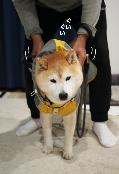 12日ブログ５
