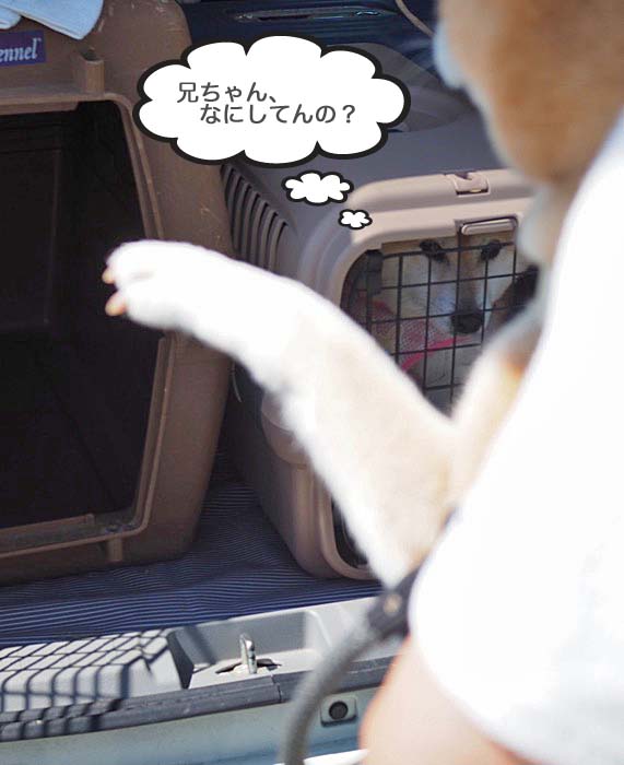 13日ブログ16