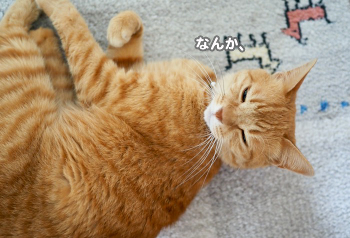 13日夕ブログ２