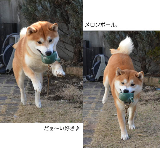 5日ブログ7.jpg