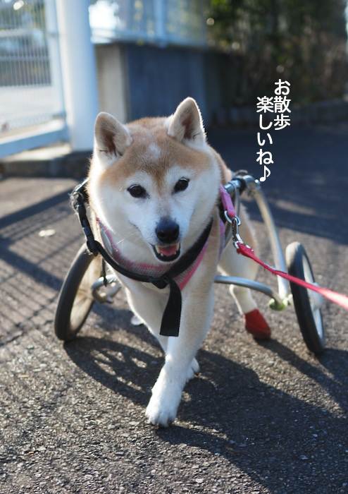 2日夜ブログ４