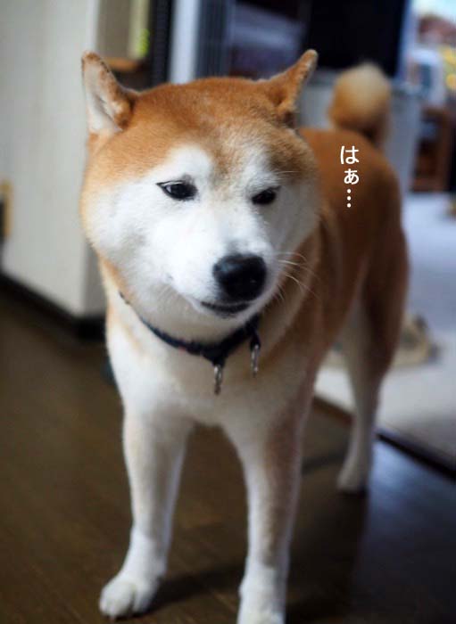 14日ブログ２