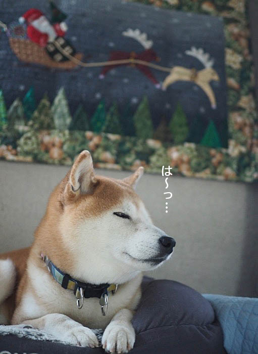 18日午後ブログ２