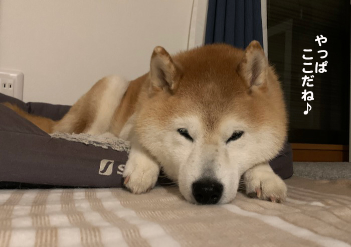 12日夕ブログ２２