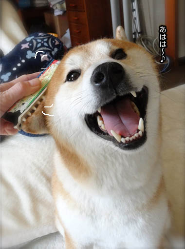 4日ブログ3.jpg
