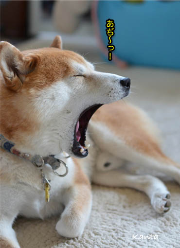 26日ブログ6.jpg