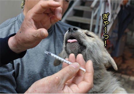 21日ブログ14.jpg