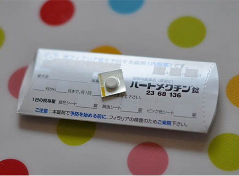 28日ブログ2.jpg