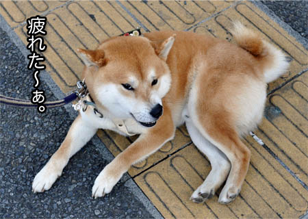 5日ブログ１７.jpg
