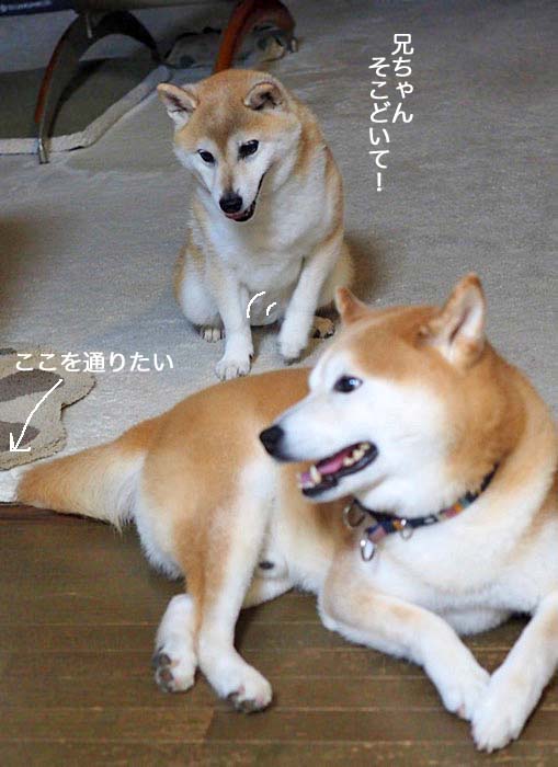 9日夕ブログ３