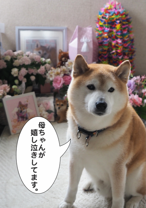 17日夕ブログ１０
