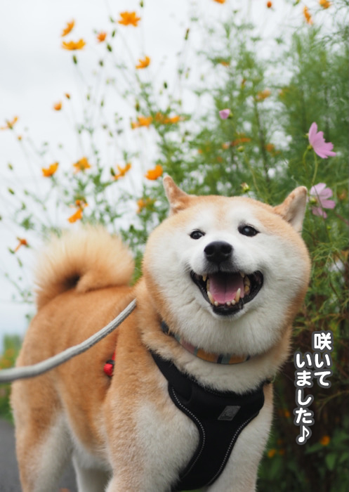 8日夕ブログ４