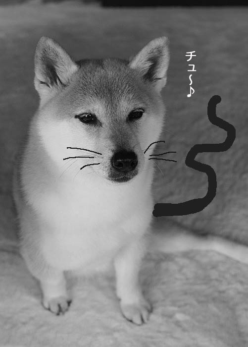 2日夜ブログ3