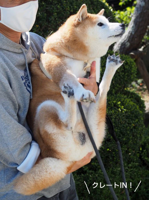 23日午後ブログ５