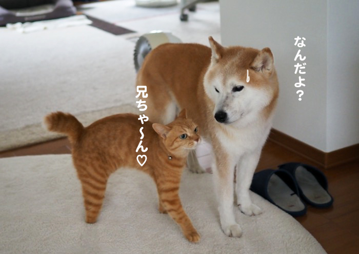 15日夕ブログ３