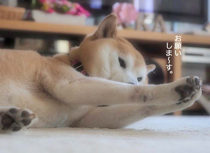 5日ブログ４