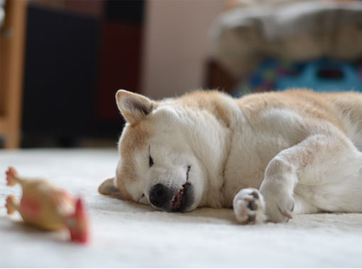 9日ブログ５.jpg