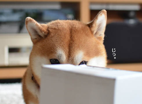 25日ブログ2.jpg