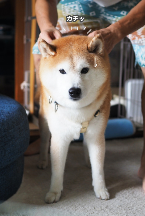 14日夕ブログ３