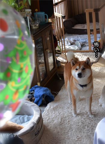 26日ブログ4.jpg