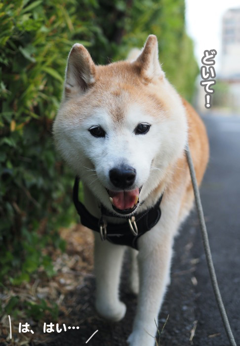 28日夕ブログ４