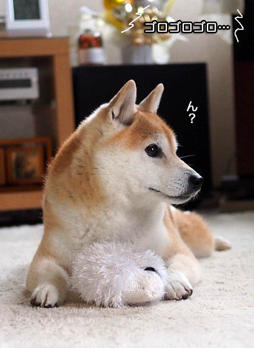 13日午後ブログ６