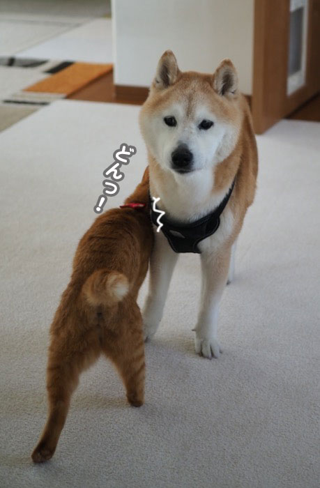 19日ブログ２