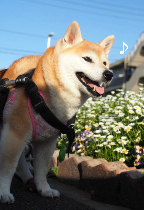 23日ブログ３