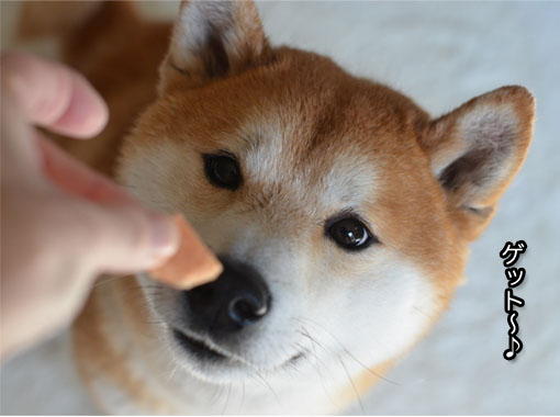 6日ブログ３.jpg