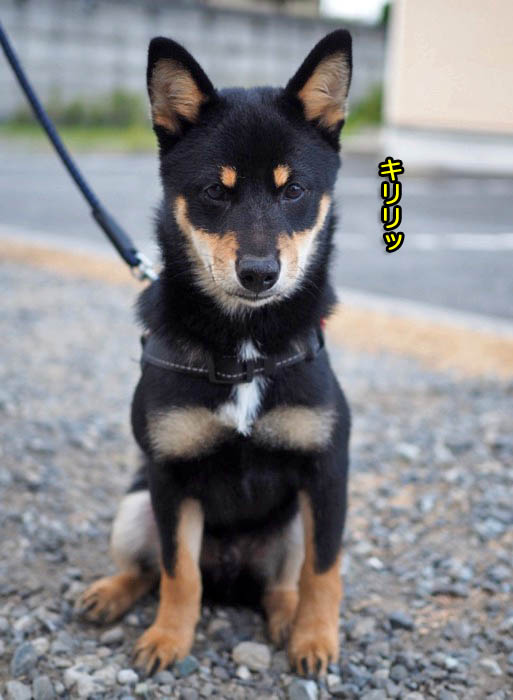 12日夜ブログ４