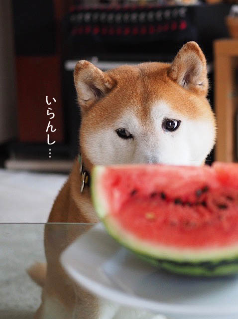 29日ブログ6