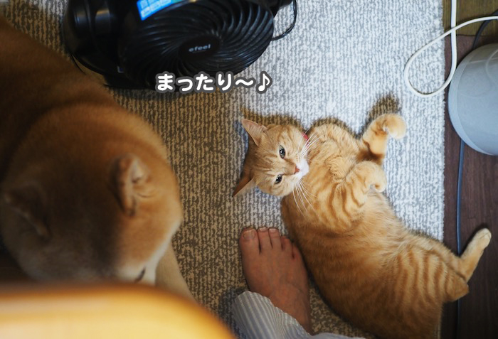 2日ブログ９