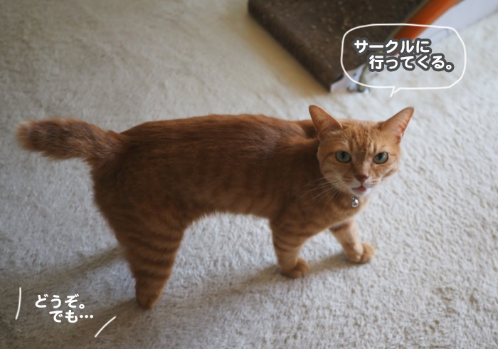 27日夜ブログ３