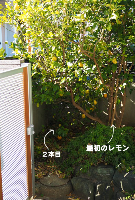 8日午前ブログ２