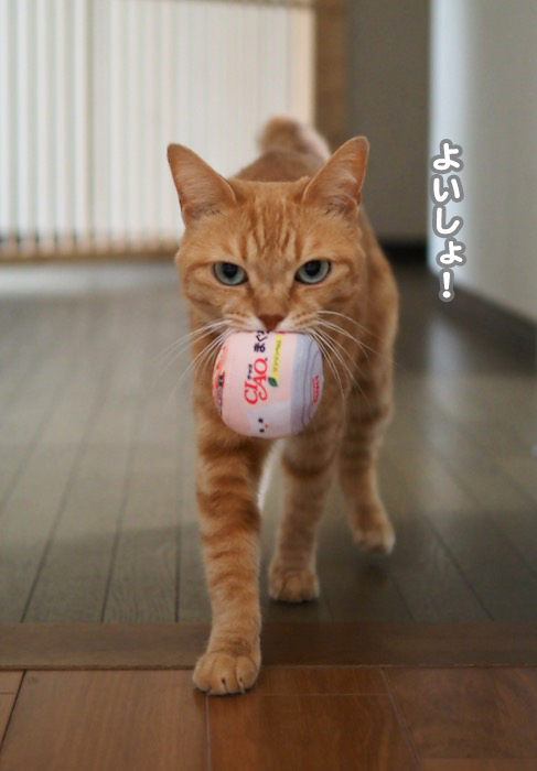 30日夕ブログ５