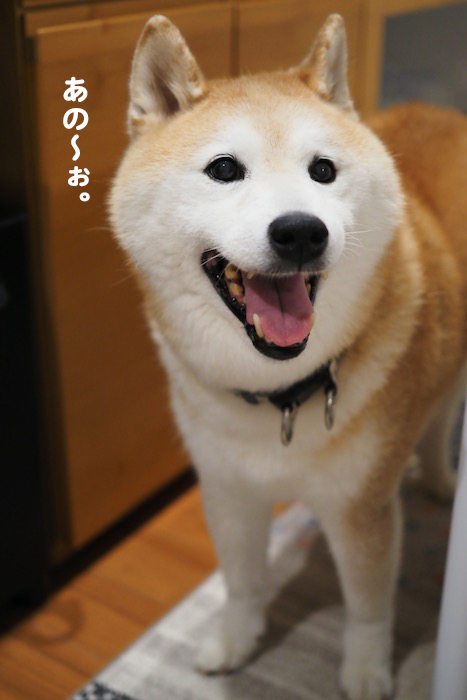 27日夕ブログ２