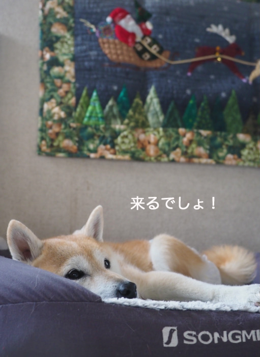 7日夜ブログ３