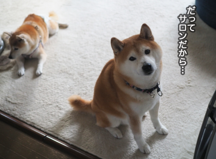 17日夜ブログ６