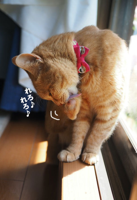 28日ブログ３