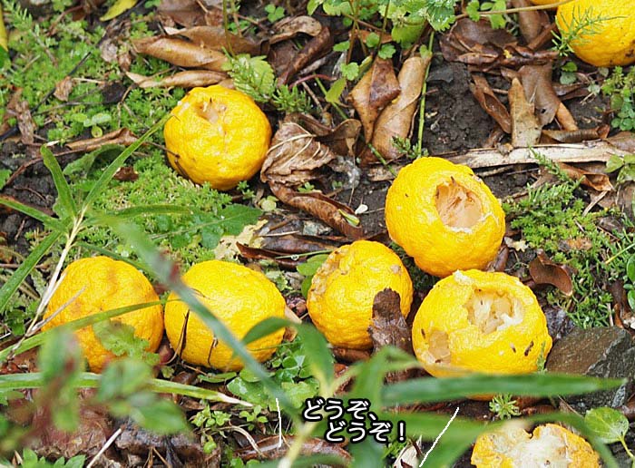 10日ブログ４